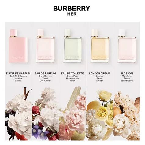 burberry her parfumdreams|burberry perfume her collection.